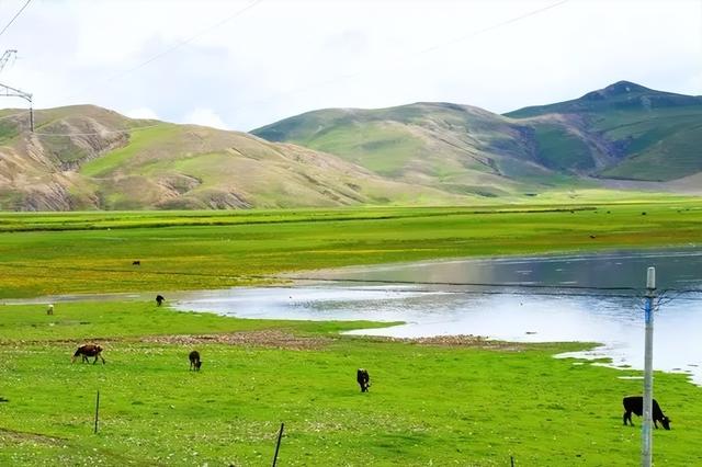 沙漠与湖泊相拥！西藏这片五彩沙丘美到犯规