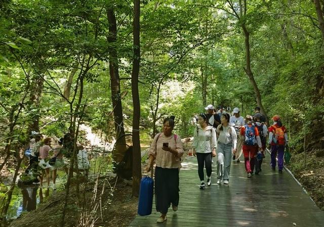 戏水撒欢享清凉！游客被夏日千山圈粉