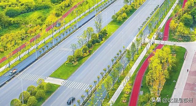 咔嚓🤳！抓住鄂州秋天的“小尾巴”~