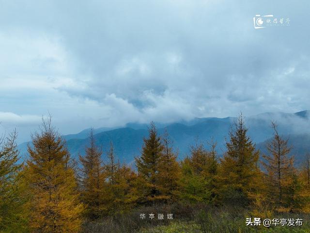 【映像华亭】华亭秋日，佐以人间烟火