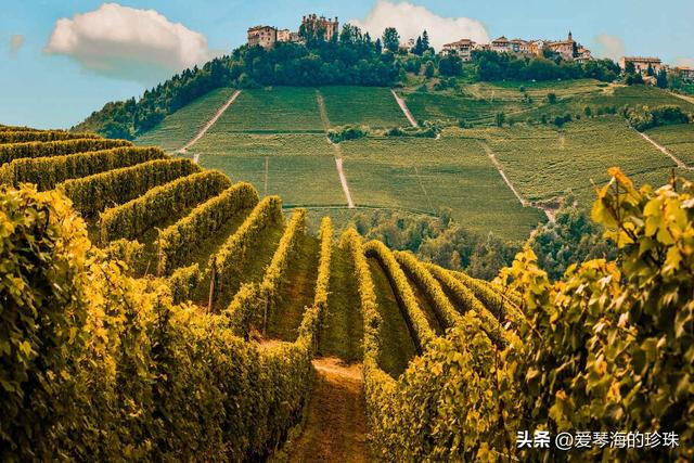 葡萄酒爱好者不可错过的10个欧洲绝佳度假地