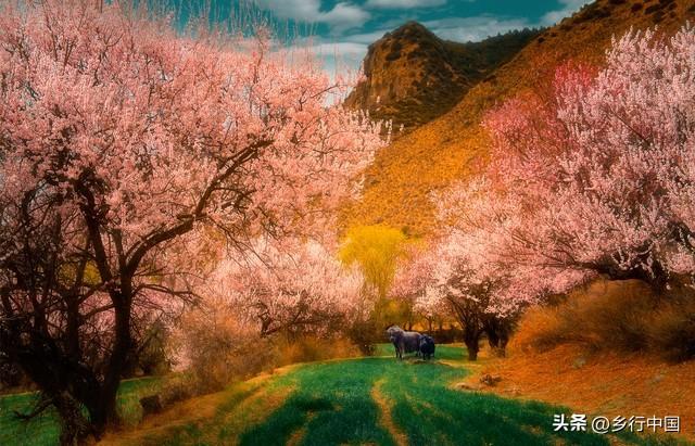 南部县寺外桃源景区：景村-乡镇-片区联动助力南西盐三县文旅发展