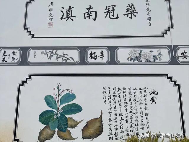 滇池畔小众村落：杨林港——观音山——百草村一日游！