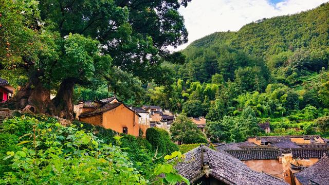 皖浙摩旅二人转——松阳杨家堂篇（下）