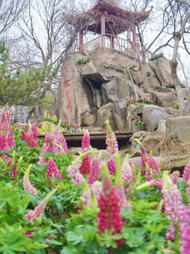 临沂春假旅行指南，请查收