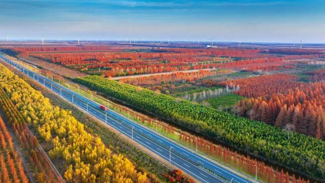 “最美风景在路上·沿海风景线·水杉红了”自驾游主题文旅系列活动启动