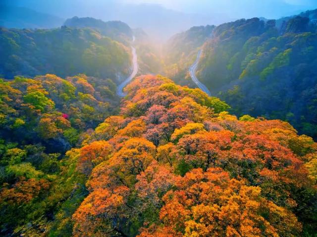 大山里的仙境，漫山红叶，斑斓如画，藏着中国最“英雄”的秋天！
