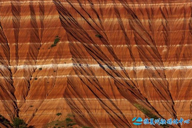 东乡大地的浪漫情书——“羊肉卷”