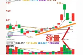 支撑有力，缩量探底，放量回升，再次雄起。--跟庄战法8图片
