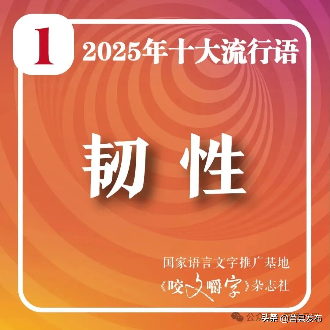 2025年十大流行语公布 智能时代语言新趋势