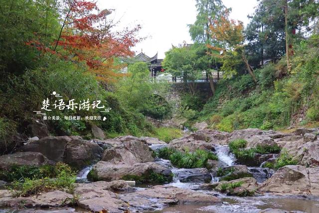 浙江宁波四明山深处的秘境，近50株古树营造油画般的风景，很好玩