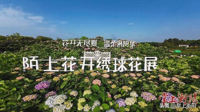 乡村有野趣，老城有烟火——石鼓区推出“乐游石鼓·五一嗨玩之旅”精品线路