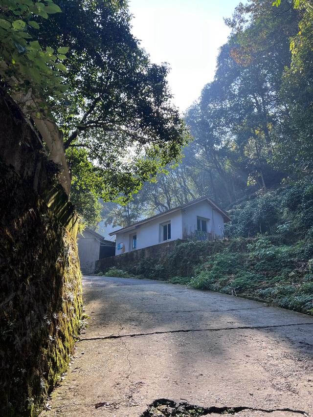 上天竺到云栖竹径，徒步9公里，感受一路秋意。