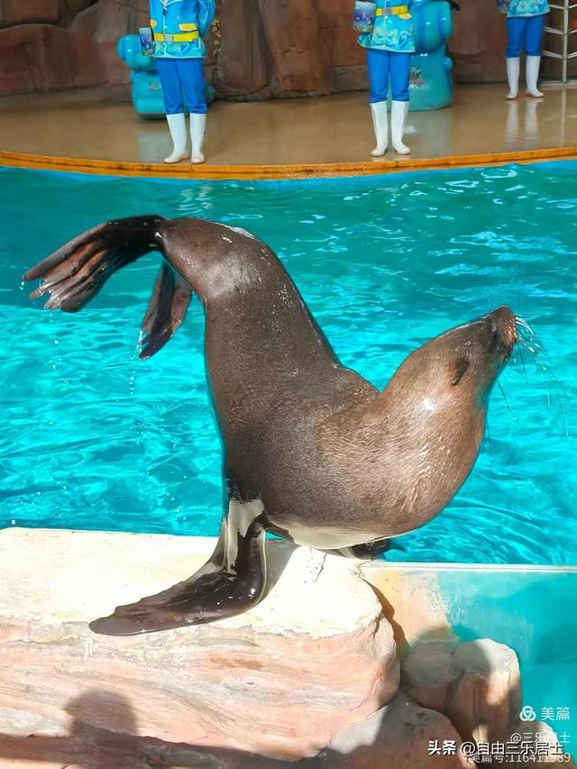 常州中华恐龙园游记