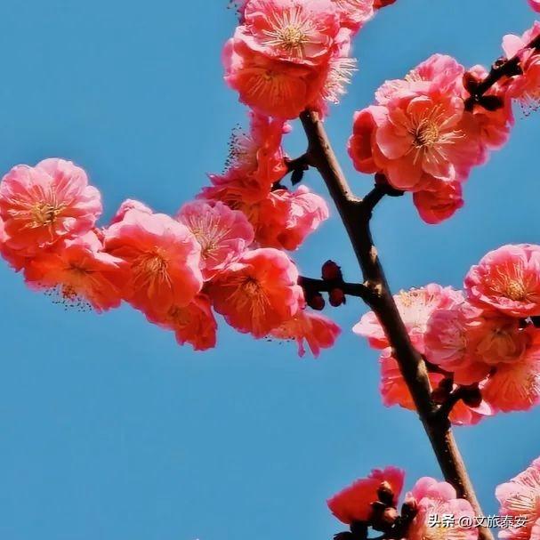 暑假进入“崩溃期”，泰安这几个地方硬控孩子一整天，还能学东西！