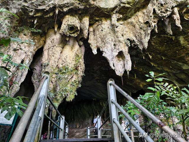 马来西亚(29)砂拉越州③姆鲁山清水洞·风洞
