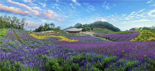 登高揽胜，来齐山赴一场山水与诗意的约会！