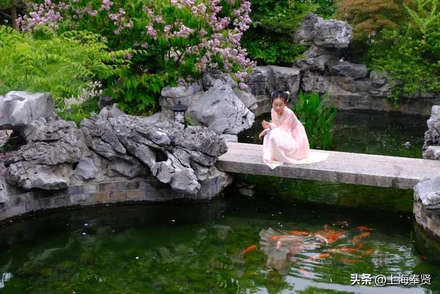 藏在上海的千年水乡！青溪老街一日游攻略，逛吃玩全解锁！