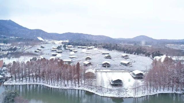 雪҈ 雪҈ 雪҈ 太美啦！快接住这“泼天”的雪白浪漫！