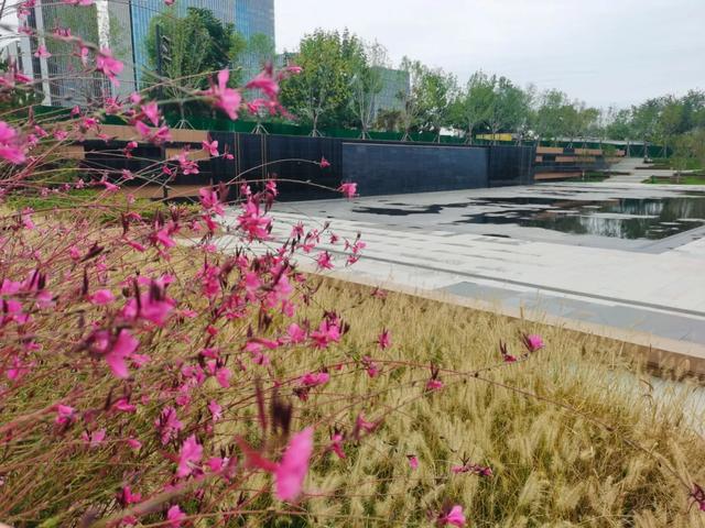 家门口添“绿肺”,丰台这个遗址公园对外开放!