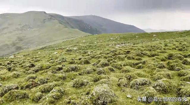 探秘榆中马坡•巴巴爷拱北