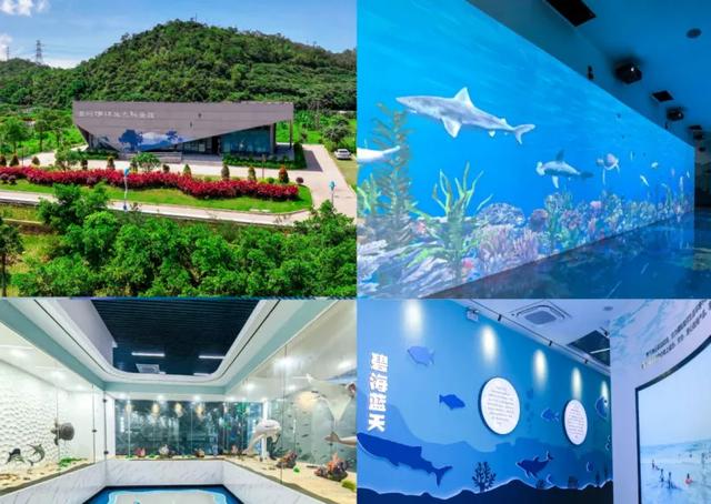 暑假这样玩！解锁珠海金湾海陆空三栖超燃玩法