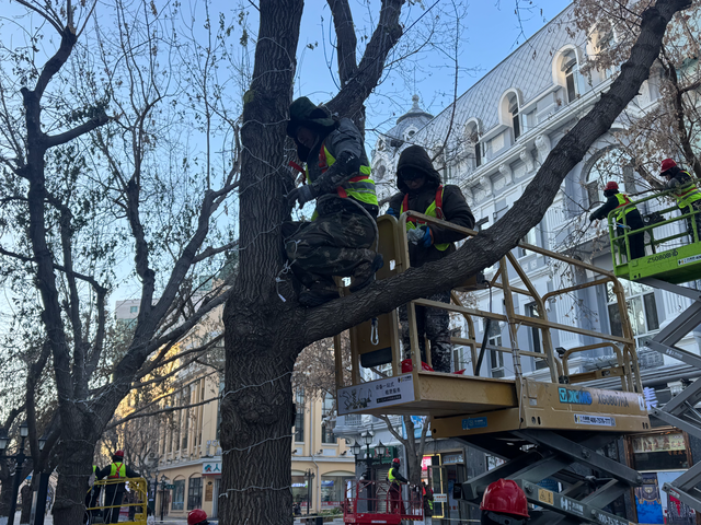 亮灯倒计时！瑞马踏雪迎宾客，中央大街用光影“复活” 冰雪童话