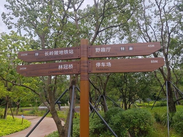 西丽湖国际科教城绿道高清随拍