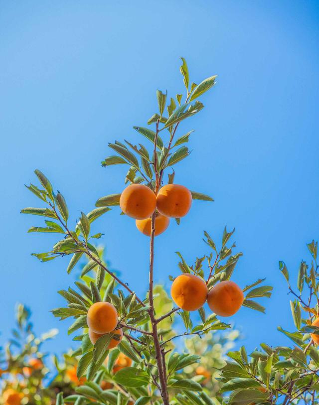 为啥有人越活越通透？3个“保命级”快乐思维，看完想转给所有人