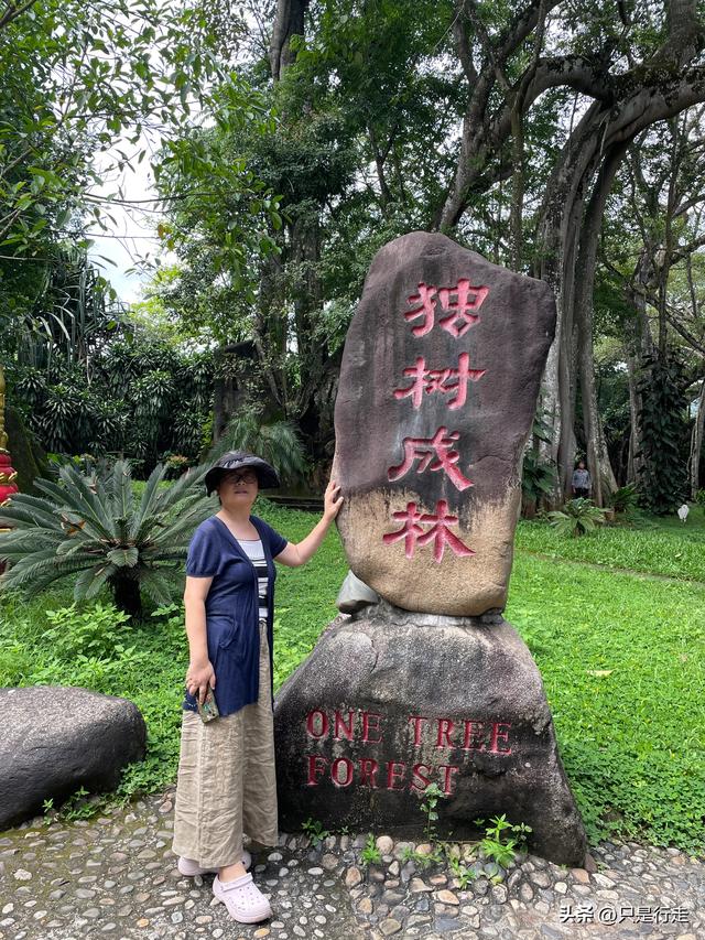 云南弥勒避暑旅游生活记录（三）瑞丽