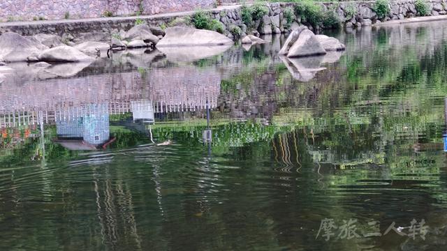 皖浙摩旅二人转——桐庐石舍村篇