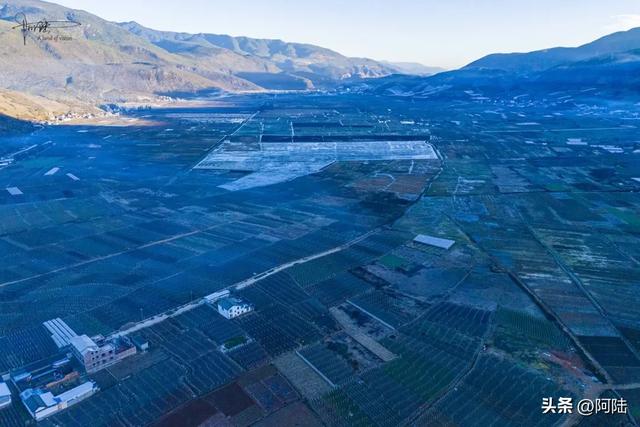 大理有个湿地很奇葩,水域面积少得可怜,路过的游客都看懵了