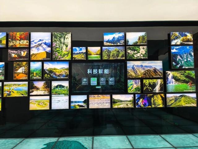 秦岭深处藏“地质史诗”！这座博物馆，藏着华夏龙脉的亿年密码