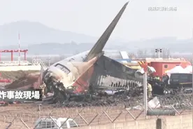 鉴证｜179人死亡，是天灾还是人祸？济州航空波音飞机失事调查图片