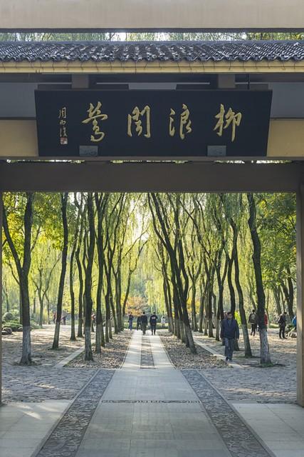 杭州一日漫游指南：湖山入画，打卡西湖最美的诗与远方
