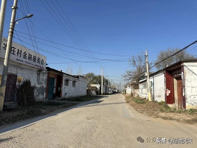 冠县乡韵·贾镇岑庄