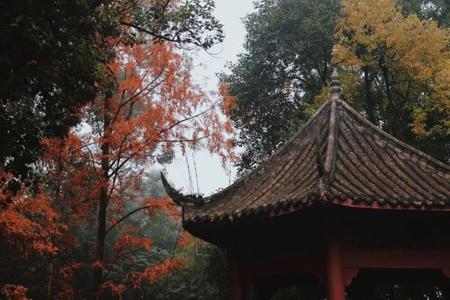 去观音寺，走走？