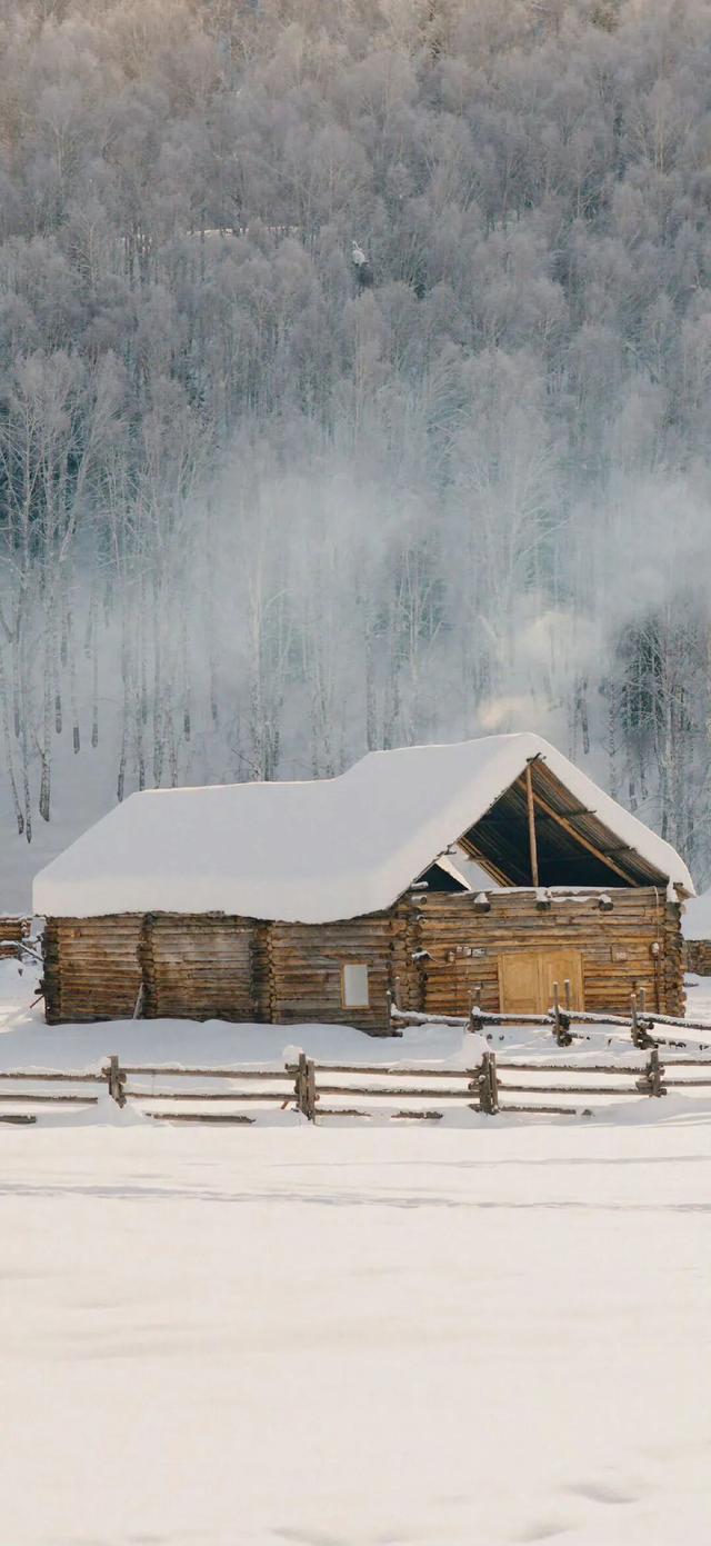冬至快乐～盼一场大雪，而后春归