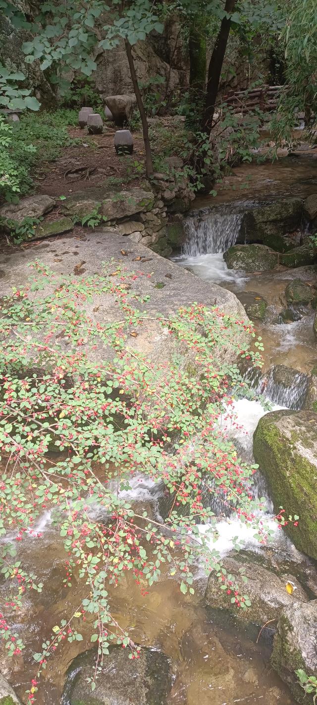 王顺山松岩瀑布