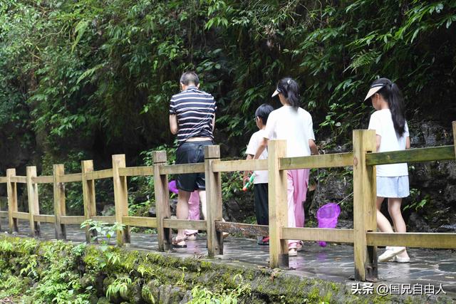 “渝黔生物基因库”黑山谷游记