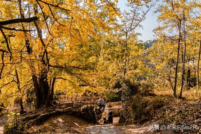 七绝 初冬游莞市公园