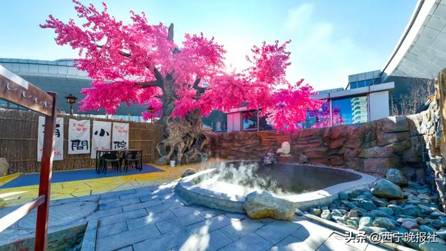这个冬日，西宁又多了一处休闲打卡地