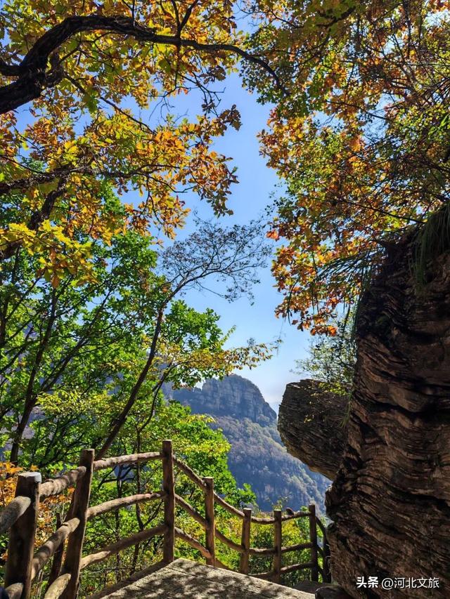 看漫山红叶、赏壮美秋景，邢台这些地方千万不要错过