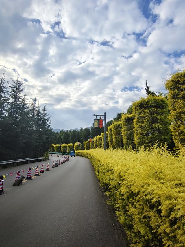 南行漫记：游锦屏山，看世界第一大弥勒佛。