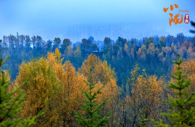 【小陇画报·430期】康乐：深秋美景如画卷 韵味盎然醉眼眸