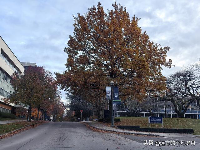 温哥华游记（五）