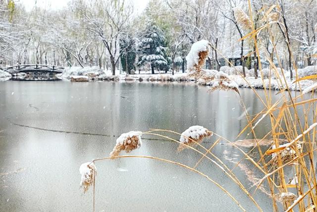 赴一场校园雪约,猜猜哪栋是你的 “温暖小窝”