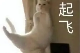 大学里这些证书，考过的都说真香！图片