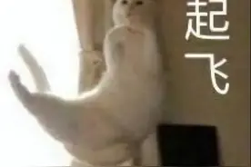 大学里这些证书，考过的都说真香！图片