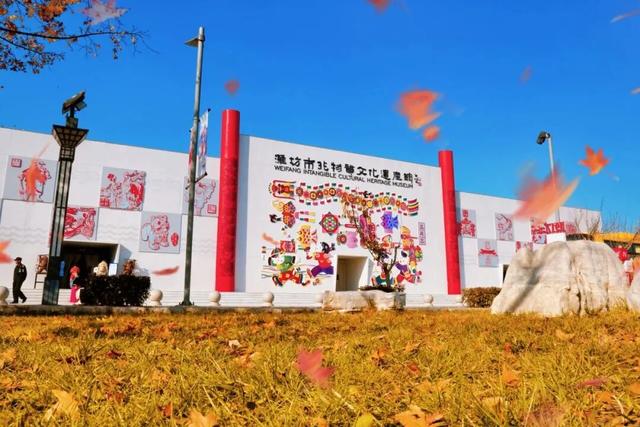 “鸥遇！鸥遇！”海鸥季潍坊启航派对，优惠惊喜等你来逛~